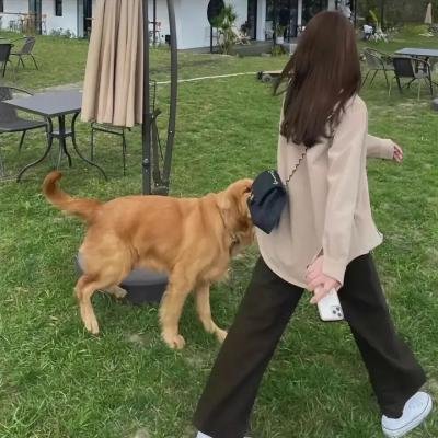 黑街霸王
